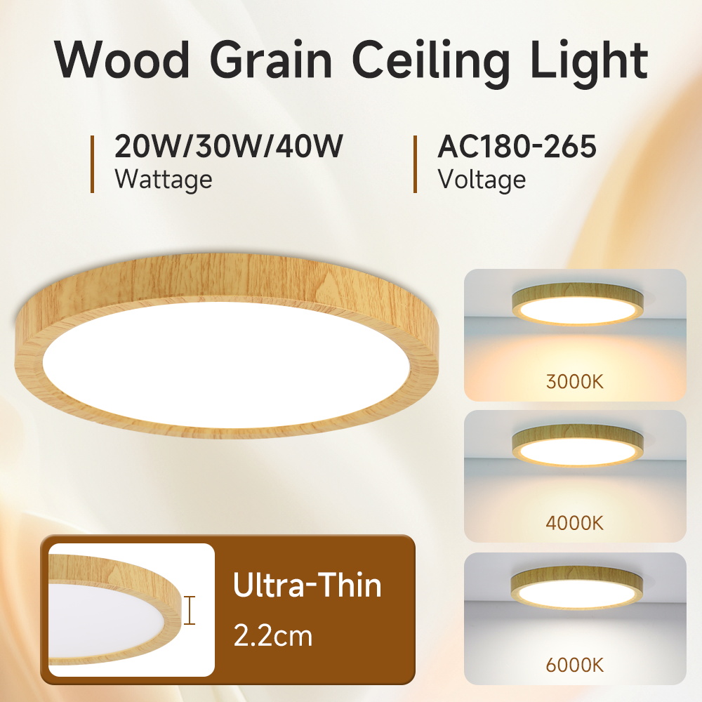 Ultradunne LED Plafondlamp 220 - Light Switch recensie en prijs